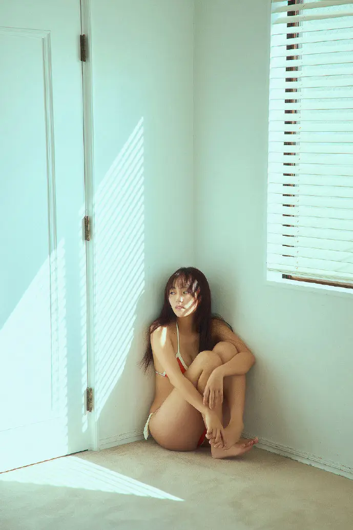 作文库下载数据可视化